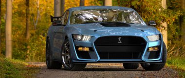 Ford Mustang deportivo